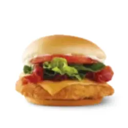 Asiago Ranch Classic Chicken Club