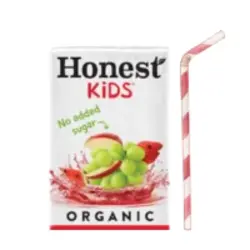 Honest Kids Fruit Punch